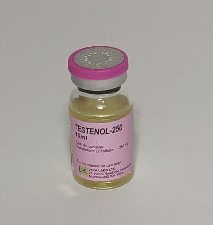 TESTENOL-250 10ml( test. enanthate 1ml/250mg)
