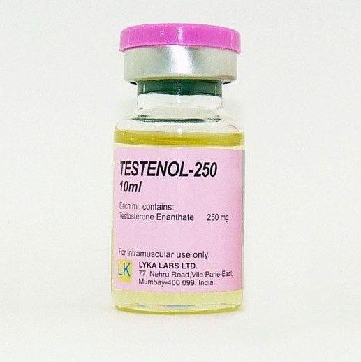 TESTENOL-250 10ml( test. enanthate 1ml/250mg)